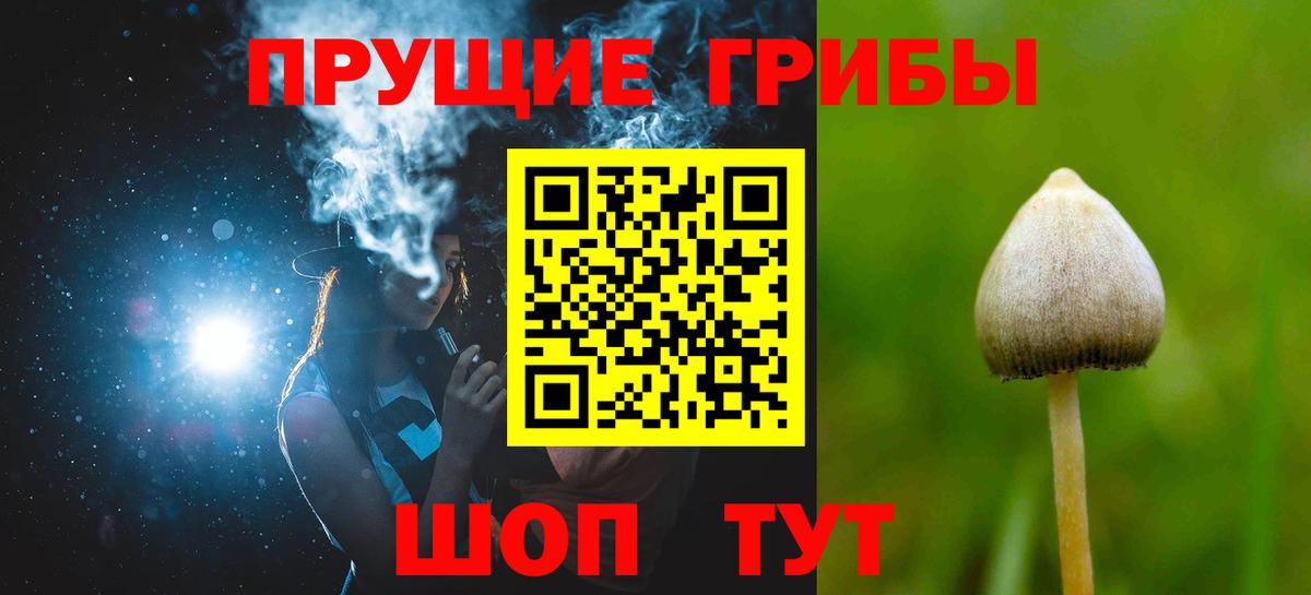 Лесозаводск  Галлюциногенные грибы Magic Shrooms  Вход с VPN 